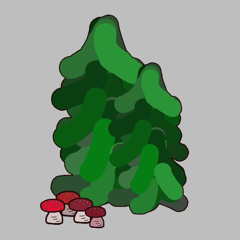 October Autumn Forest Fir Trees Toadstools Mushrooms