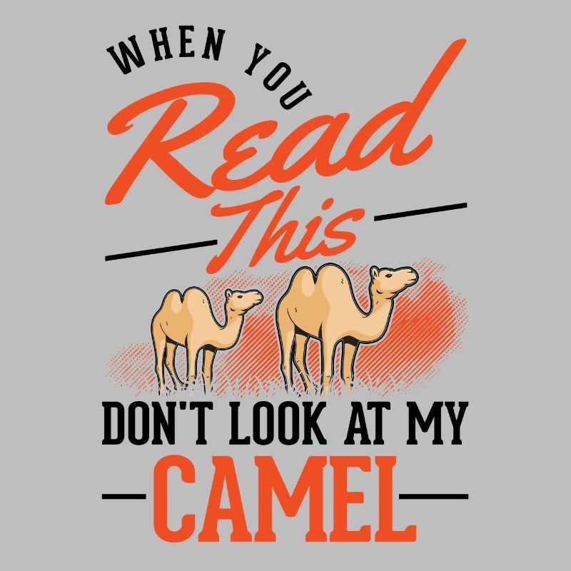 Kamel Geschenk Dromedar Camel Großkamel