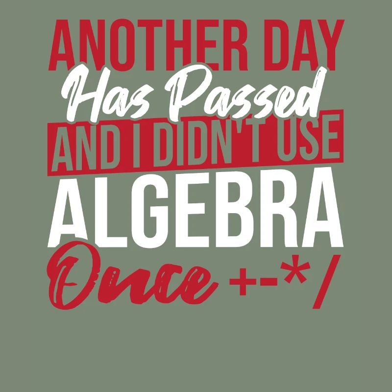 Algebra Lover Graph Math Nerd I Didn't Use Algebra