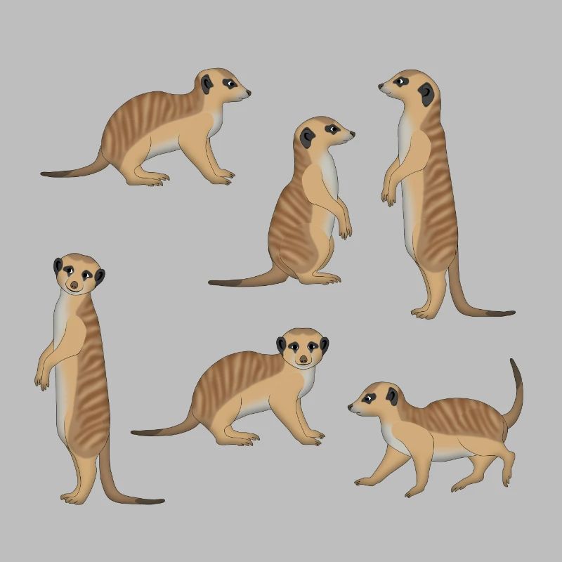Sélection de Suricate