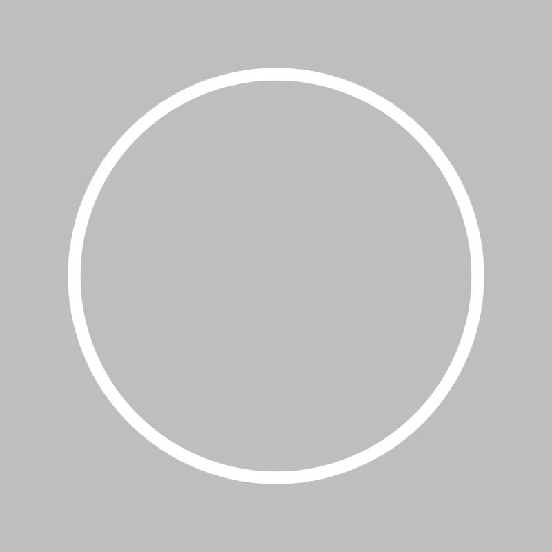 Circle ring shape icon white