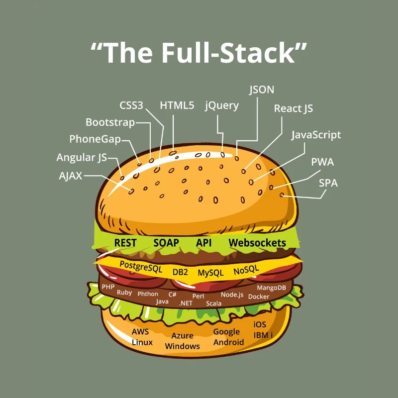 Computer Programmierer Programmierer Software Burger Liebhaber