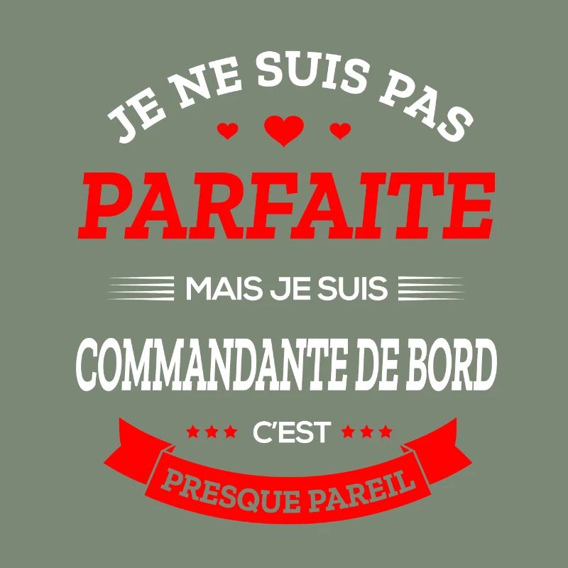COMMANDANTE DE BORD PARFAITE