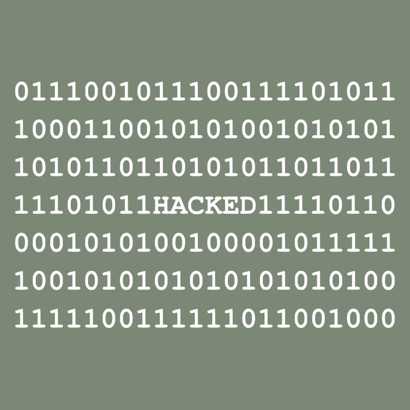 Hacked - Hacker - Nerd - Noob - Matrix