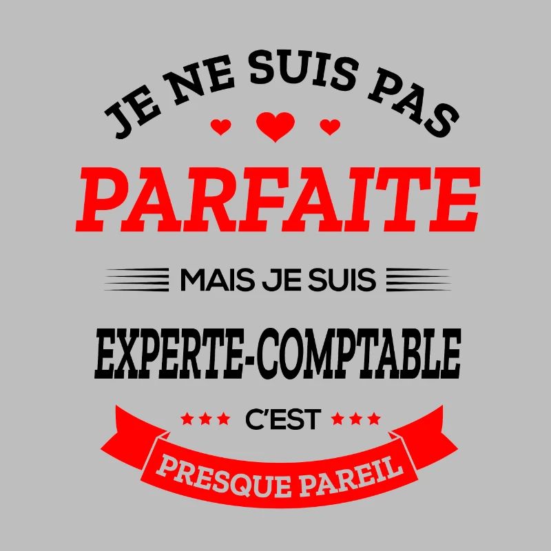 EXPERTE-COMPTABLE PARFAITE
