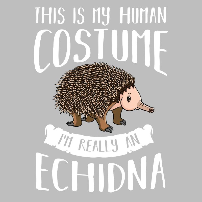Echidna ameisenigel Schnabeligel Drôle de hérisson