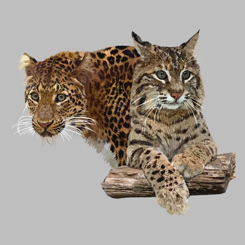 Leopard and lynx