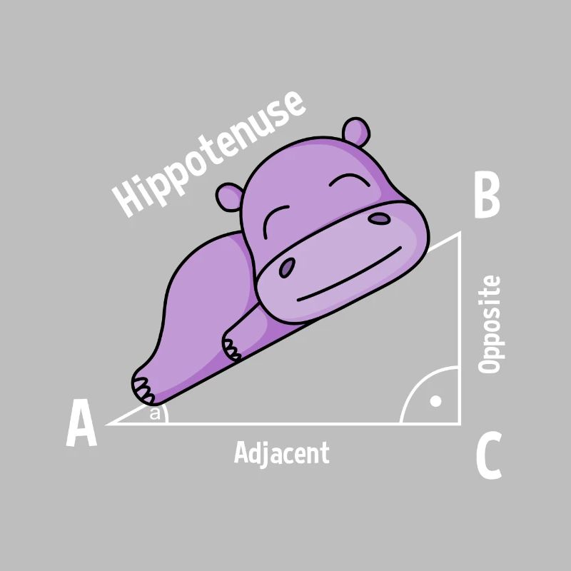 Math teacher Hipotenuse Math