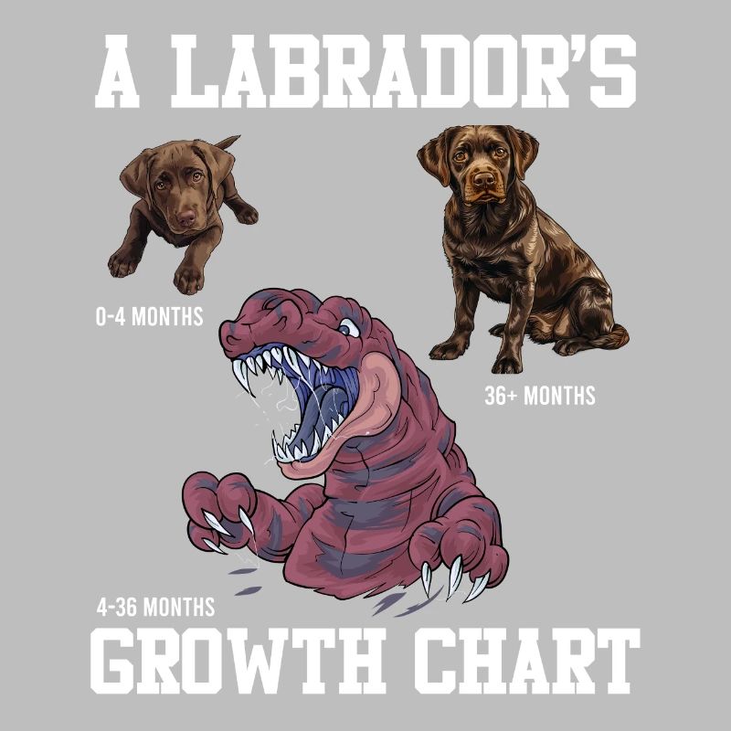 TABLEAU DE CROISSANCE DU Labrador Lovers