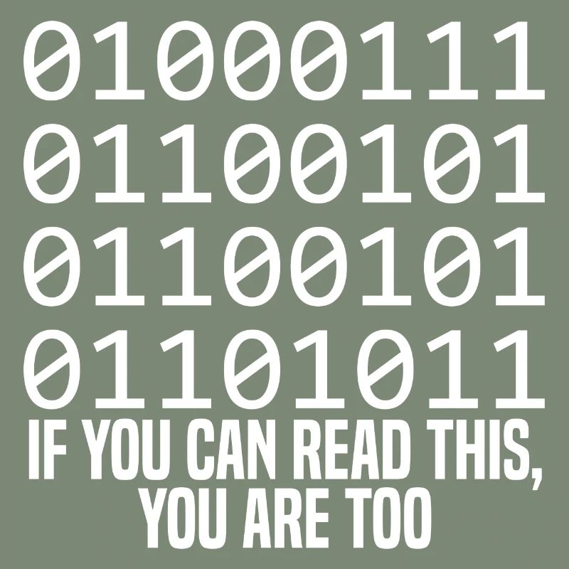 Programmierer Coder Software Entwickler