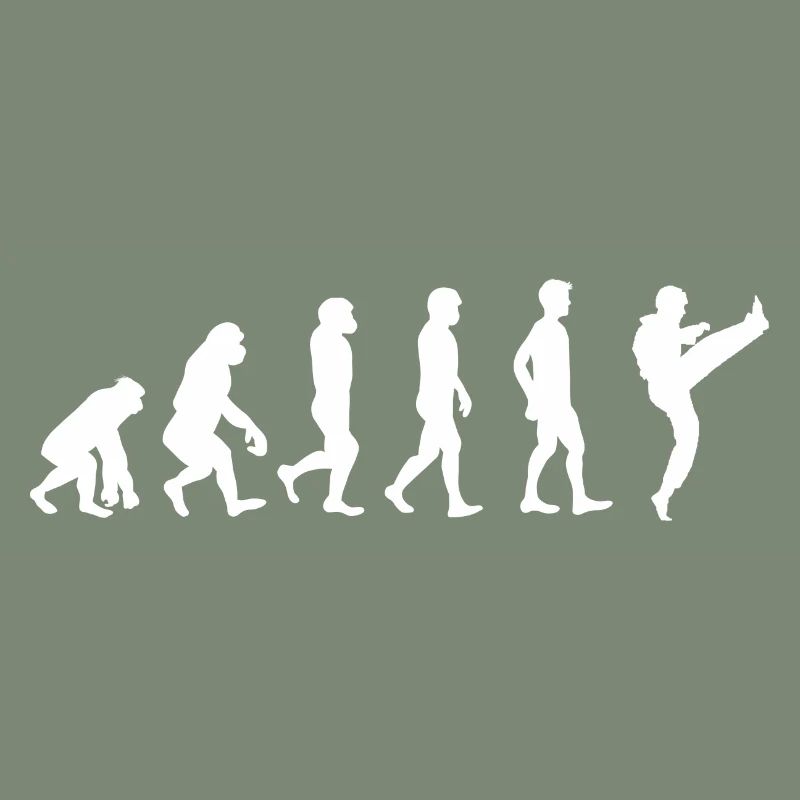 Evolution Karate