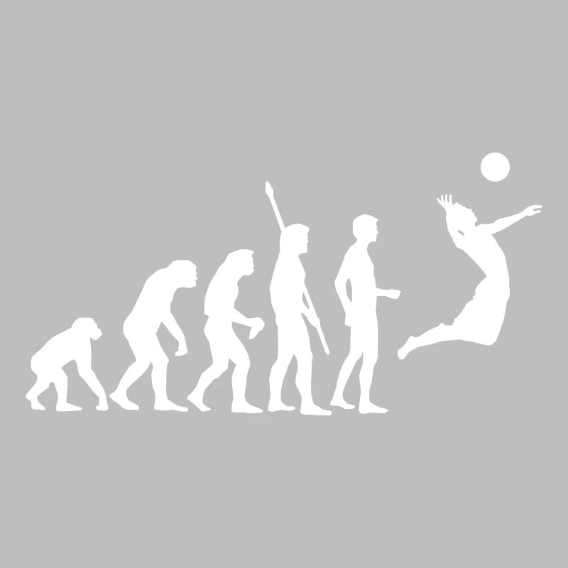 evolution_volleyball_1c