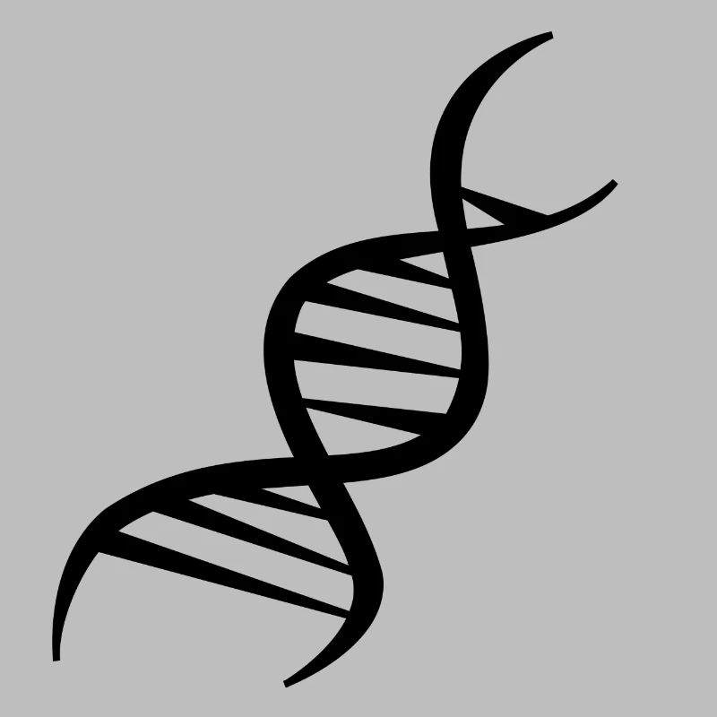 ADN Brin design