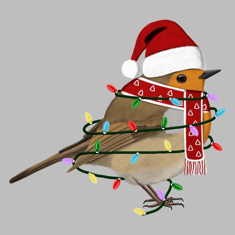 Robin String Lights Christmas Bird Cap