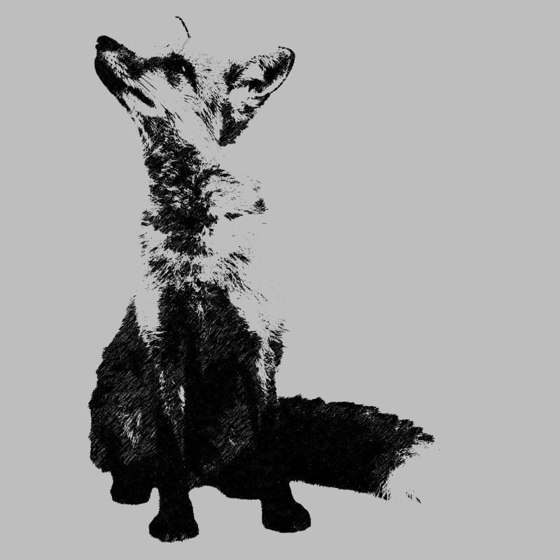 fuchs