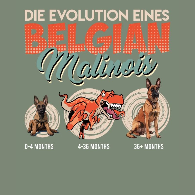 EVOLUTION EINES BELGIAN MALINOIS Belgischer