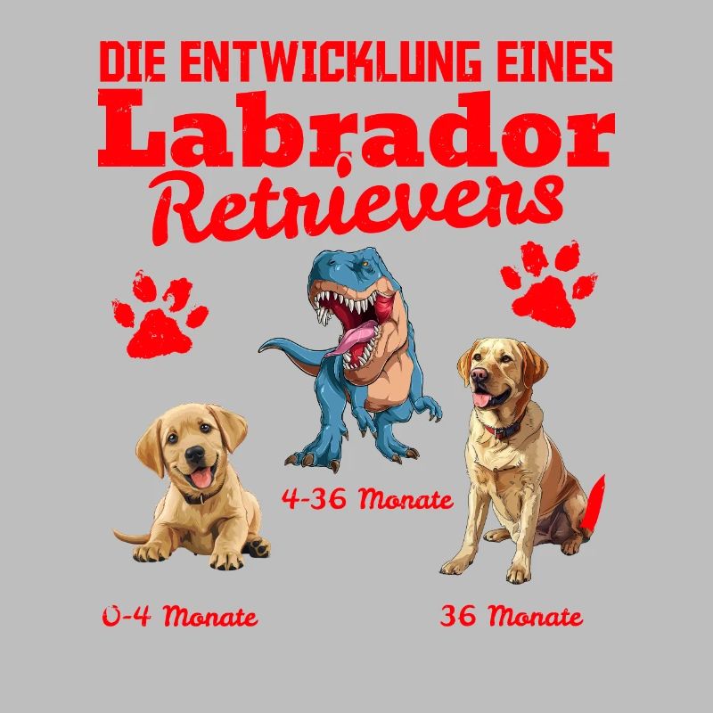 Hundebesitzer DIE EVOLUTION EINES LABRADOR