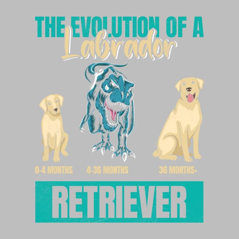 EVOLUTION D’UN PROPRIÉTAIRE DE LABRADOR RETRIEVER