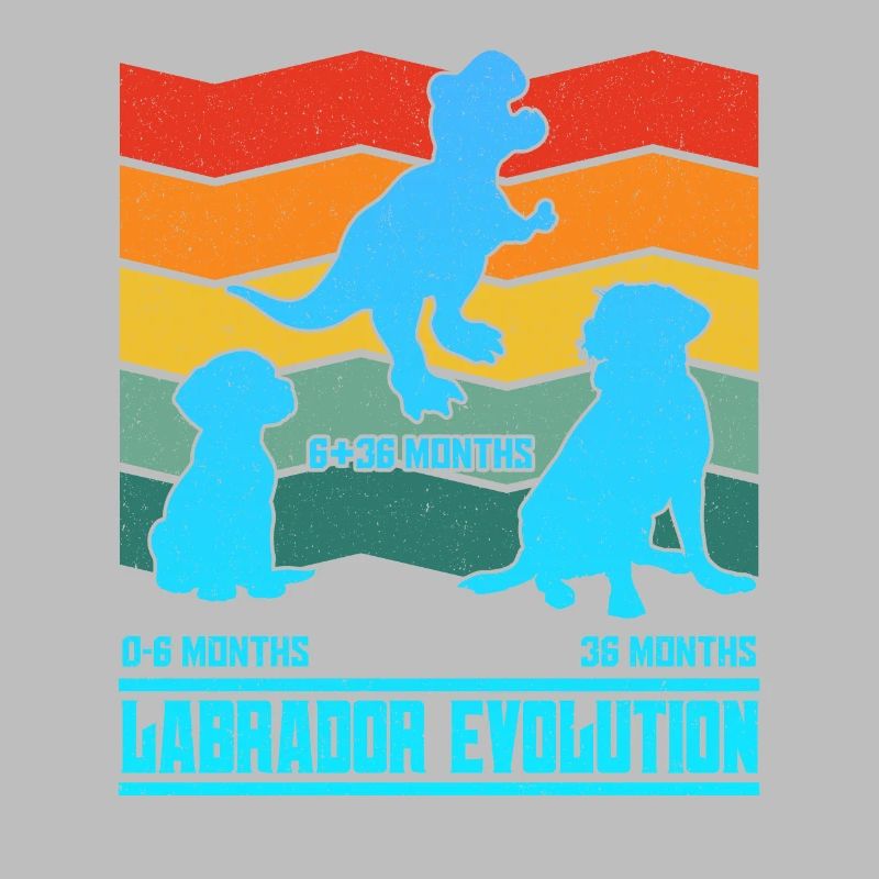 Labrador Owner LABRADOR EVOLUTION Funny