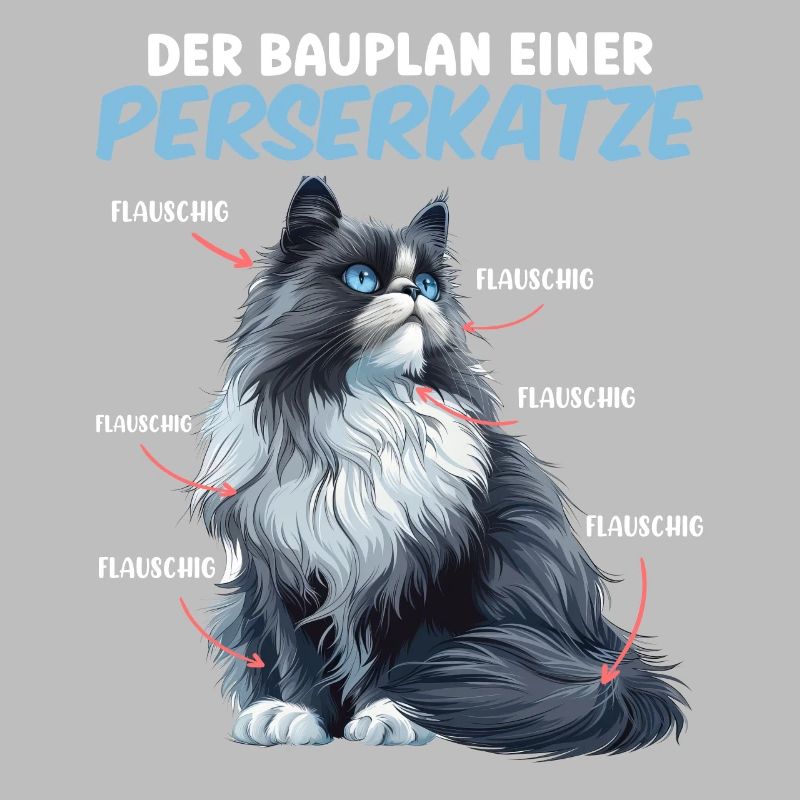 Chats persans LE PLAN D’UN CHAT PERSAN