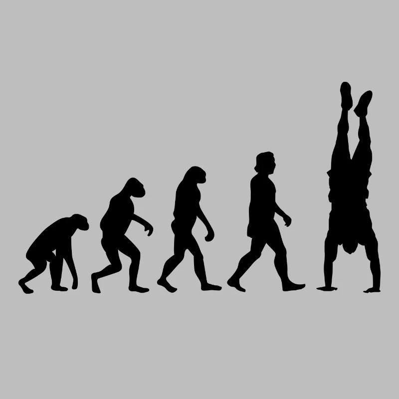 Evolution du renversé