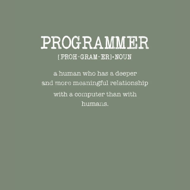 Programmer