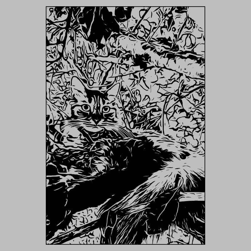 chat dans l arbre noir