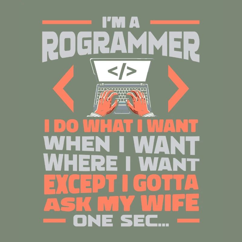 Développeur, Codeur, Programmeur