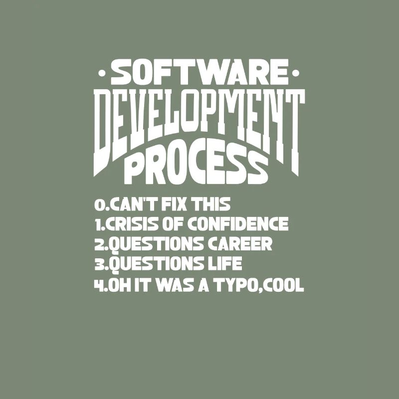 Softwareentwickler Programmierer Software