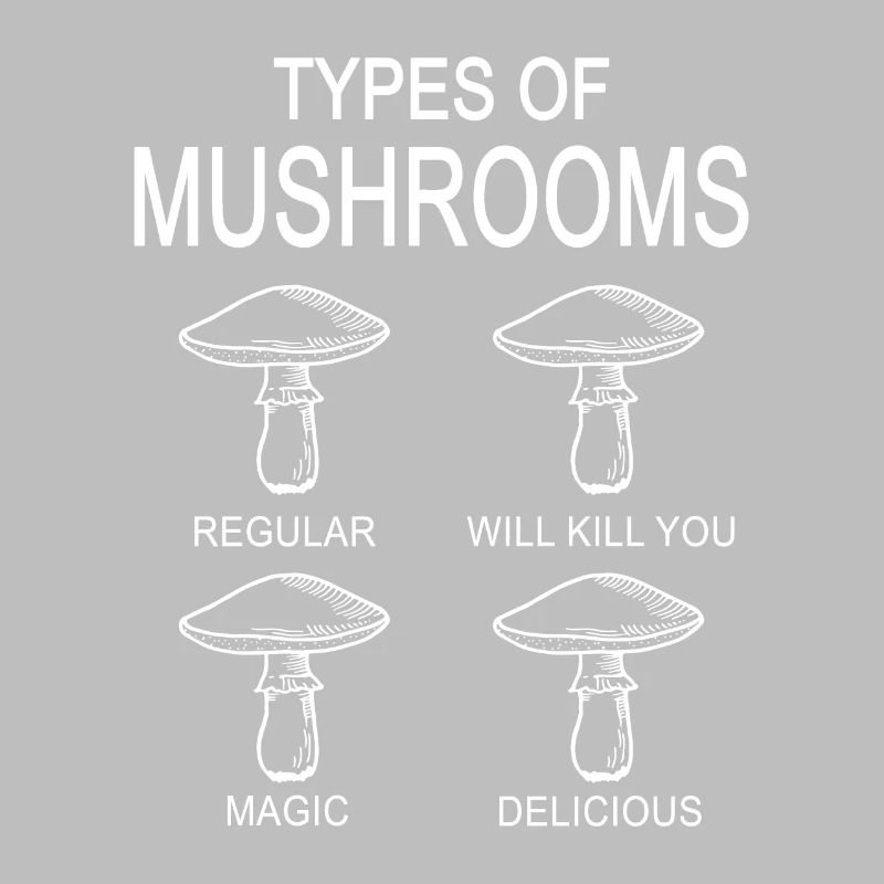 Types de champignons Champignons Champignons Cueillette de champignons