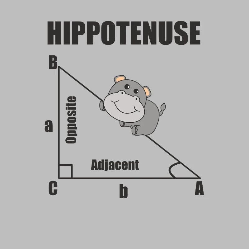 Nerd Geometry Hippotenuse Hypotenuse Math