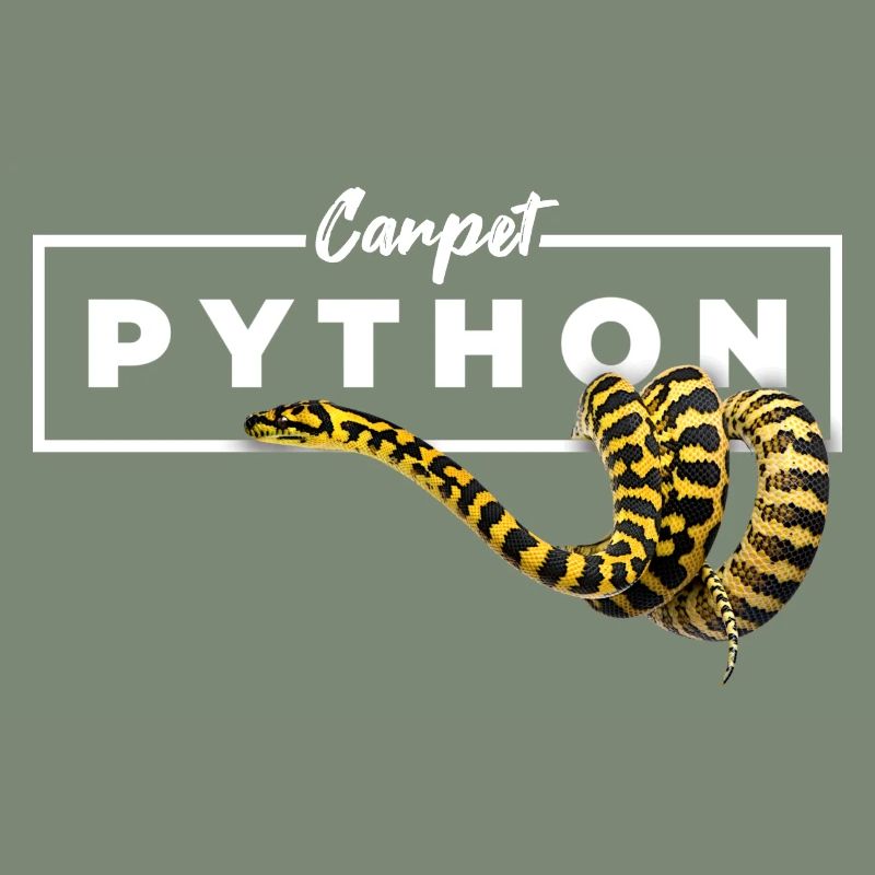 Tapis Python Geometric Reptile Owner