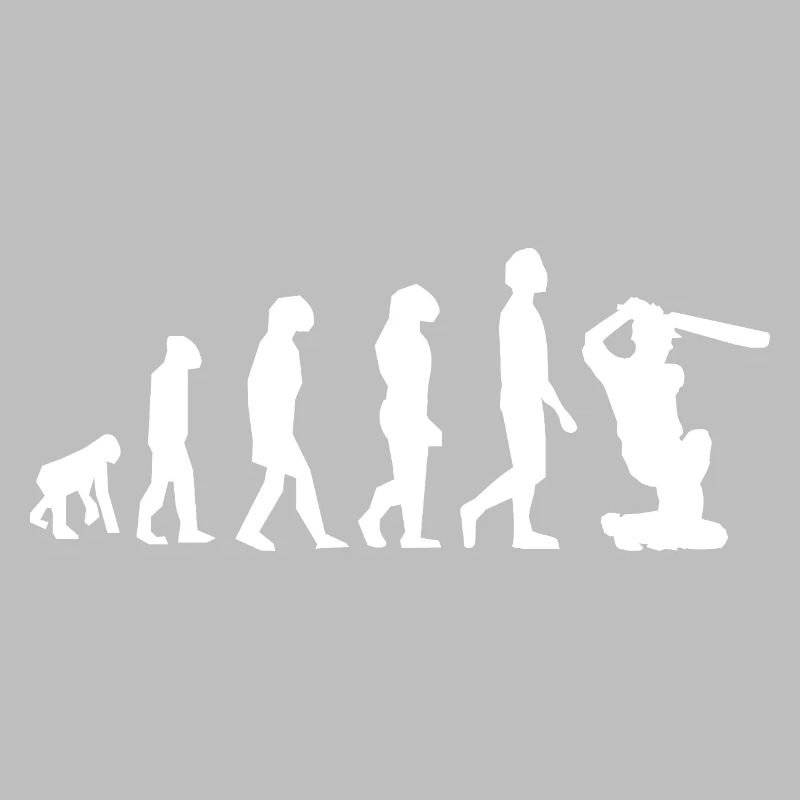 Cricket Évolution