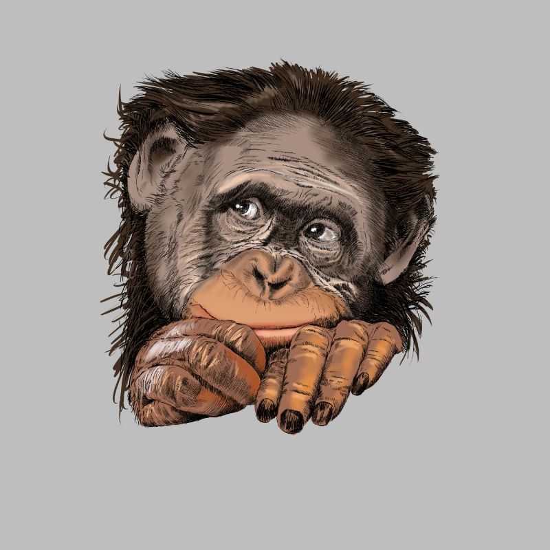 Monkey