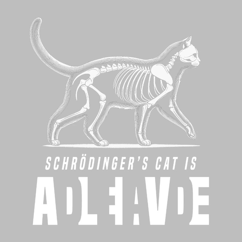Chat de Schrödinger