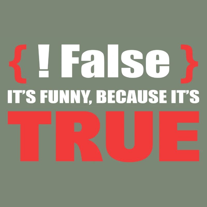 False It's Funny Because It's True Programmierer