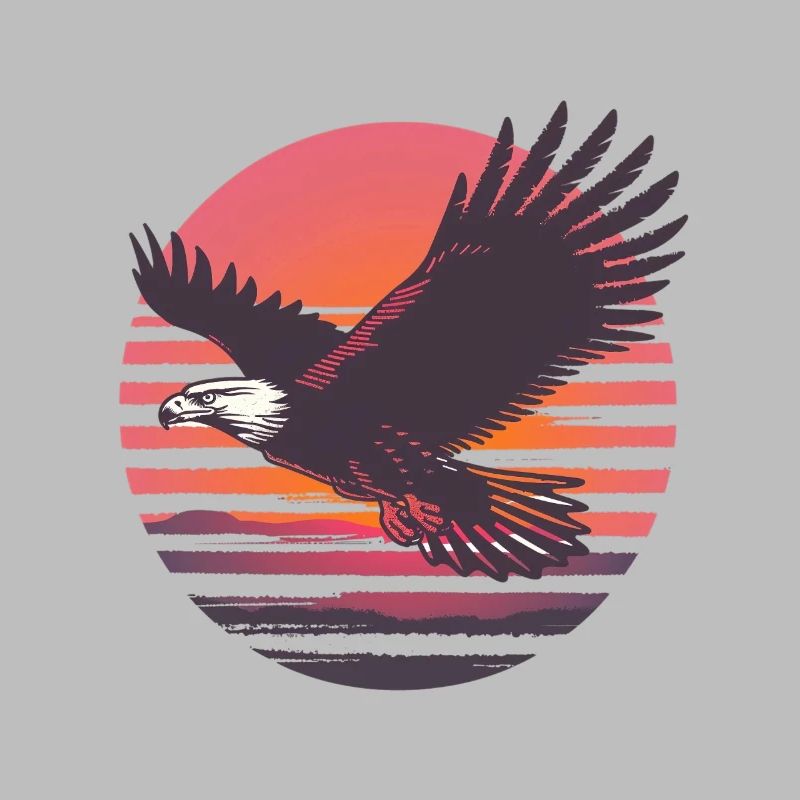 Eagle in flight before sunset