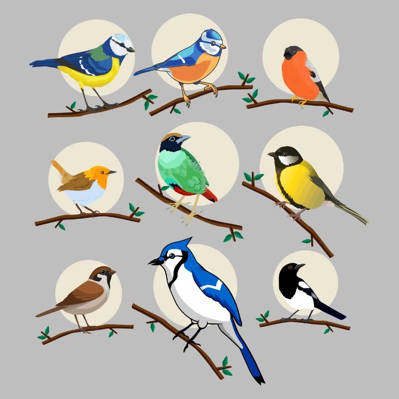 oiseaux, oiseaux, mésanges,