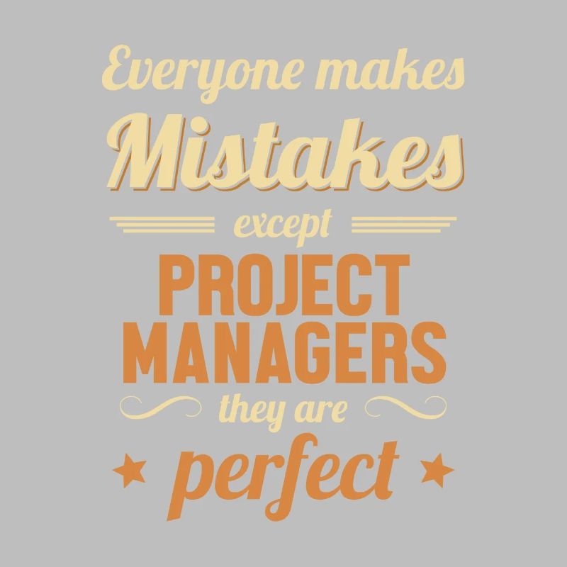 Project Manager are Perfect IT Project Manager