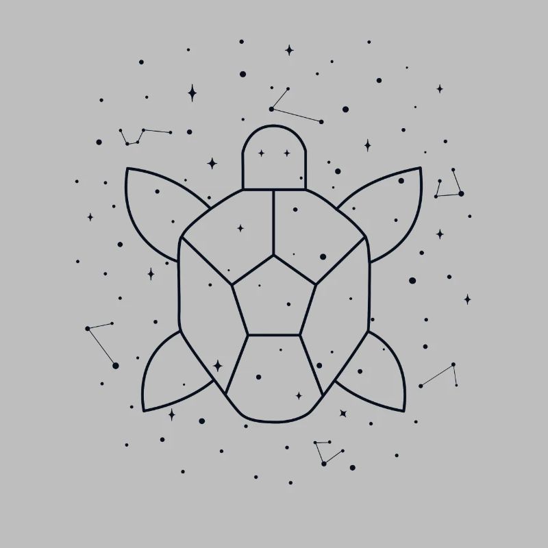 Constellation Aquatic Turtle constellation