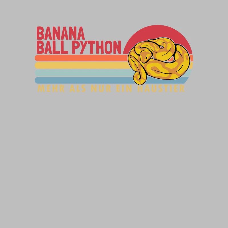 Banana Ball Python mehr als ein Haustier Banana