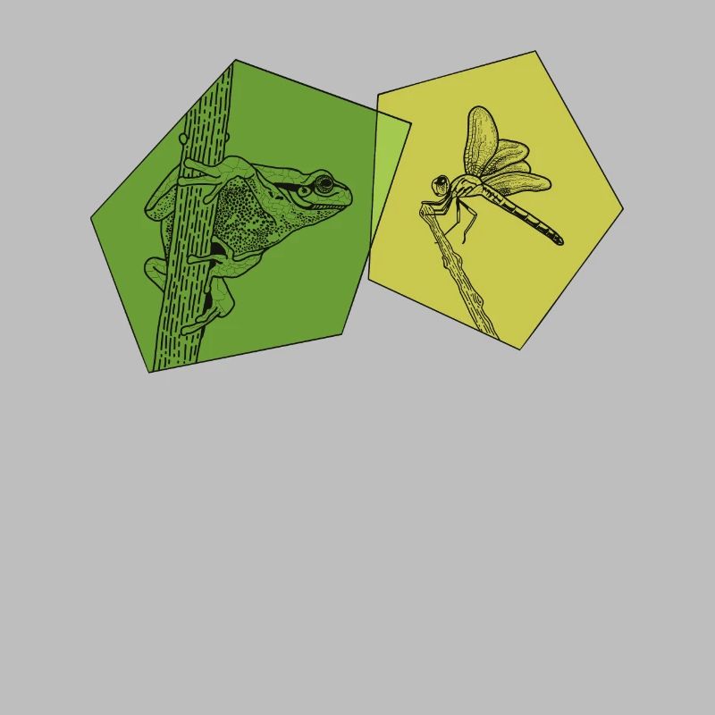 Toad, tadpole, tree frog, frog breeder, frog