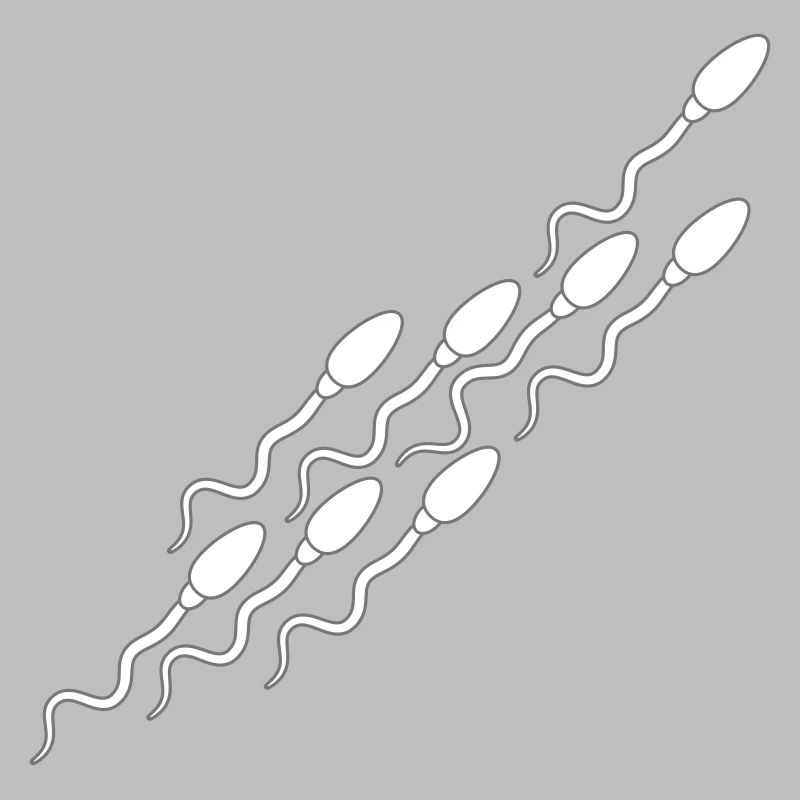 modèle sperme sperme enceinte sperme éjaculation