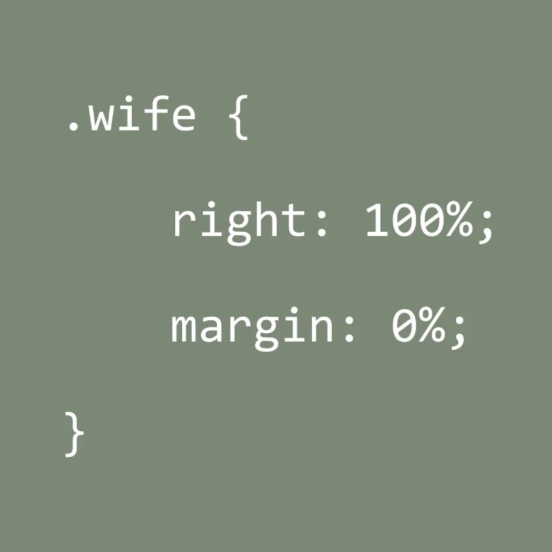 CSS Wife Right Engineer Full Stack Coder Software