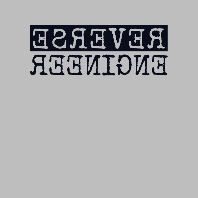 Reverse Engineer Softwareingenieur Developer