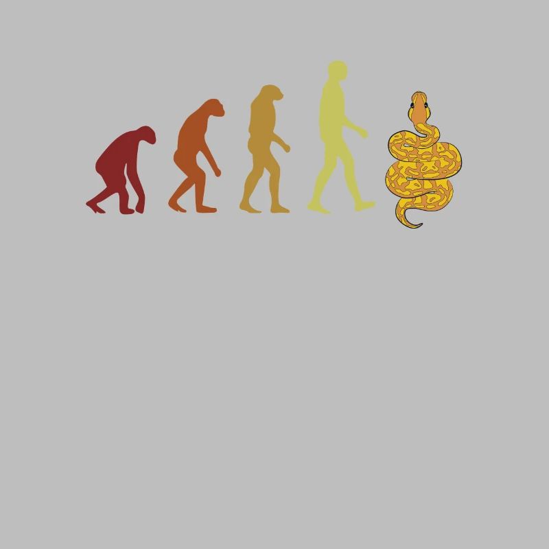 Banana Ball Python Evolution Python Banana Ball