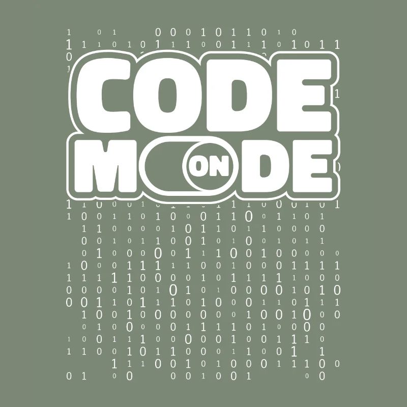 Programmeur Codeur développeur