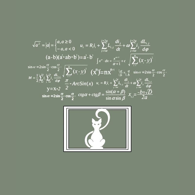 Physics Phyker Cat Quantum Physics