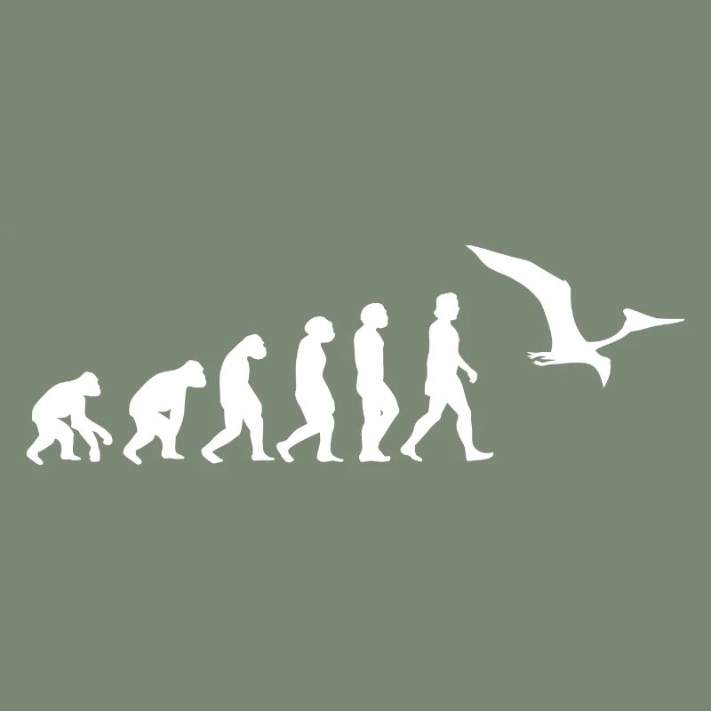 pterosaurs, Pteranodon evolution, dinosaurs, animals