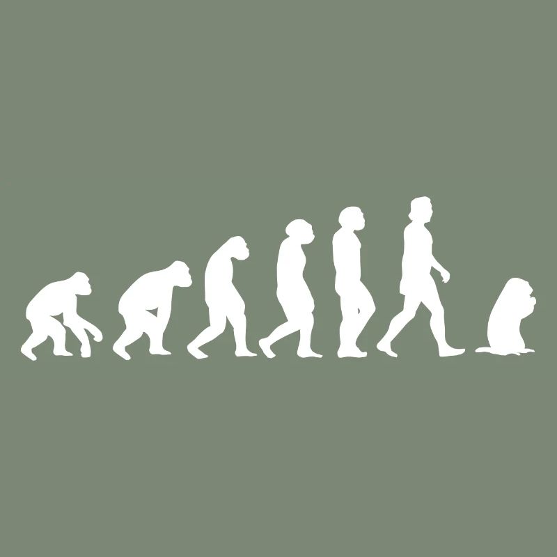 Murmeltier Evolution der Menschen Tiere